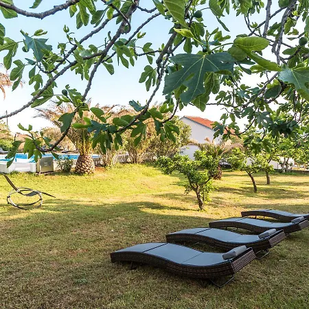 Luxury In Near Sea